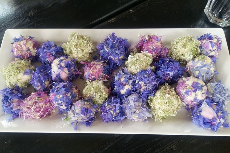 Blütenfrischkäsebällchen