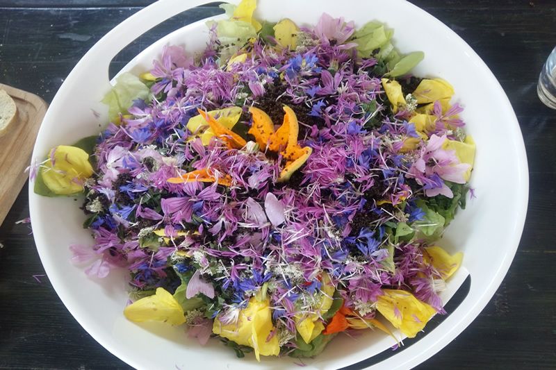 Blütensalat