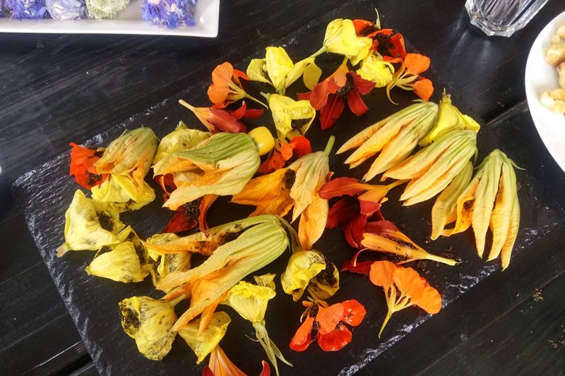 Gefüllte Blüten mit Brennnesselsamen