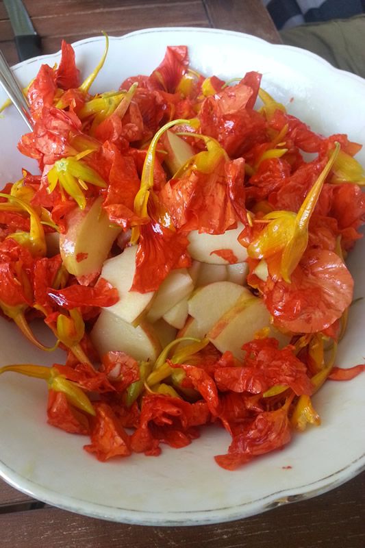 Kappuzienerkressensalat mit Apfel